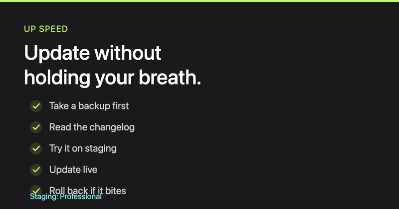How to update a plugin without breaking things