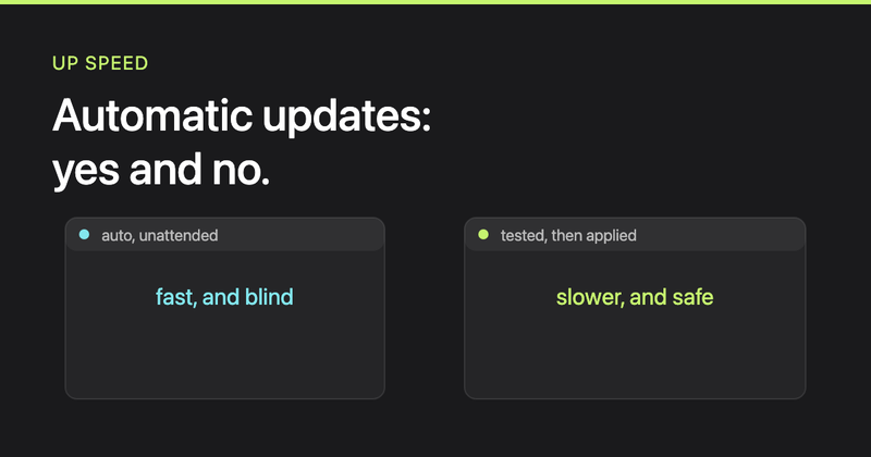 Should you turn on automatic updates