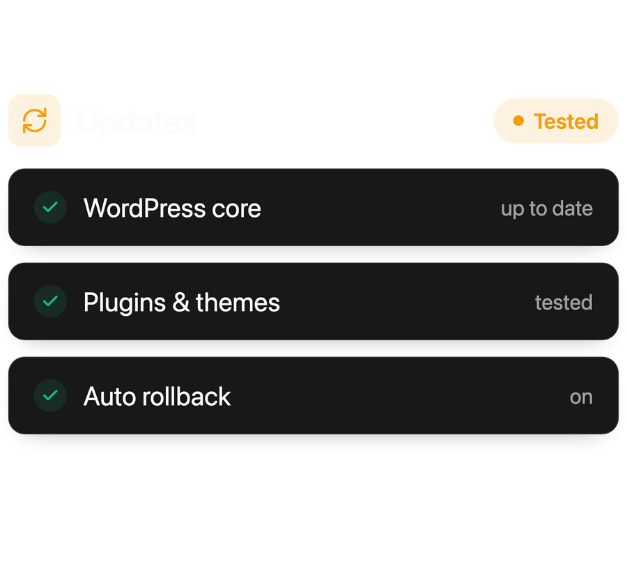 Automated plugin & theme updates.