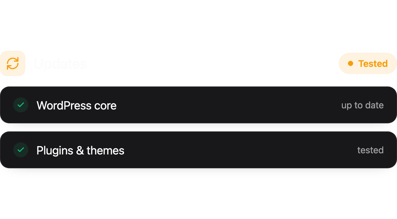 Automated plugin & theme updates.