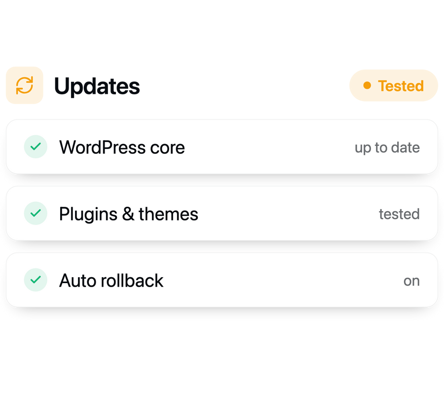 Automated plugin & theme updates.