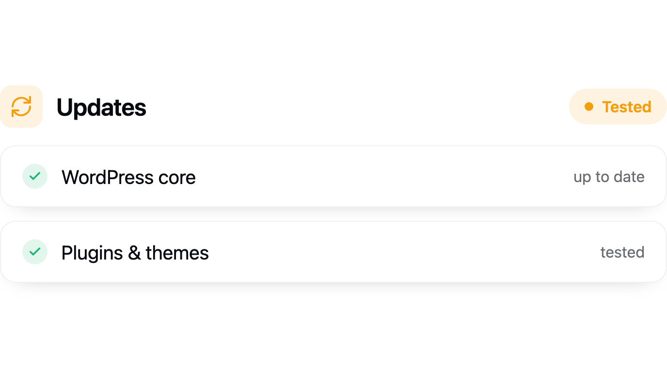 Automated plugin & theme updates.